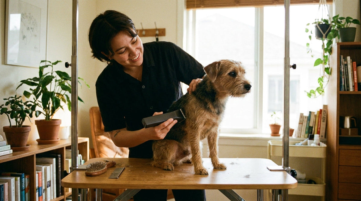 Chien de taille moyenne tondu sur une table de toilettage à la maison