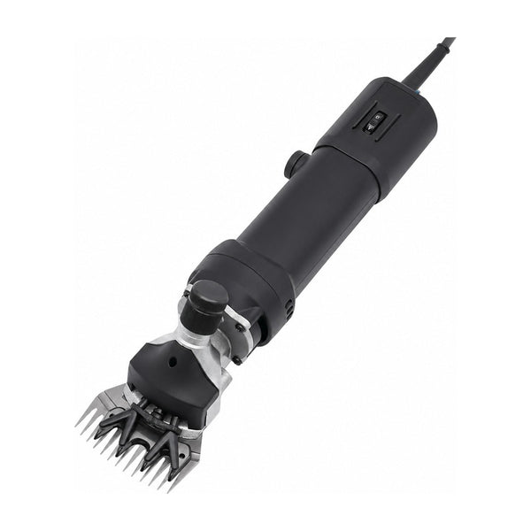 Tondeuse mouton 350 W - compacte, mallette et outils sur fond blanc