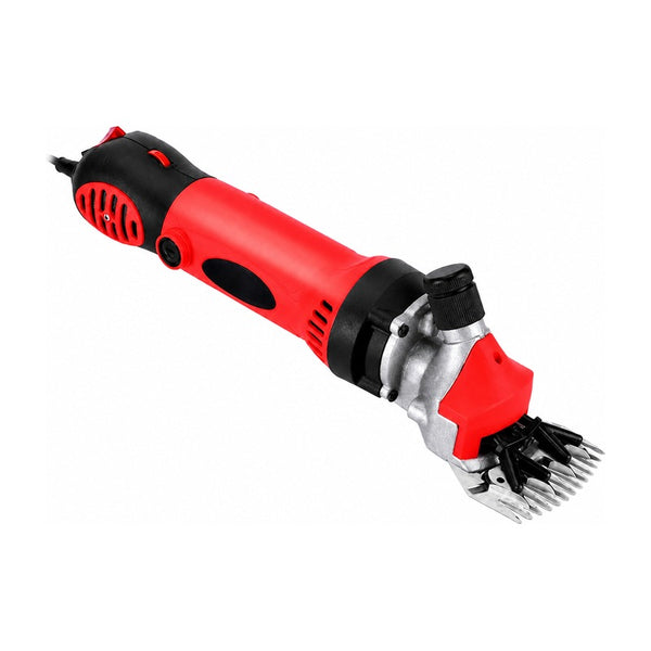 Tondeuse mouton 900 W - 6 vitesses, mallette et outils sur fond blanc